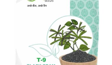 Black Gram T-9 - 2kg