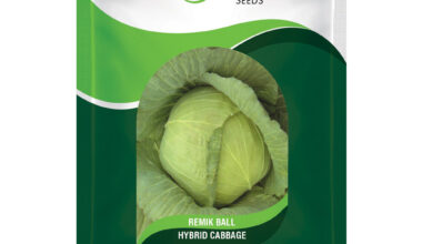 Cabbage Remik Ball - 10gm
