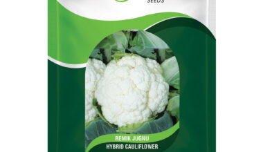 Cauliflower Remik Jugnu - 0.5gm