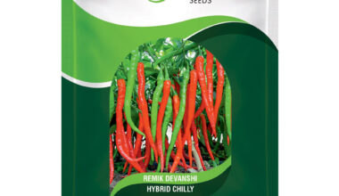 Hot Peper (Chilly) Remik Devanshi - 0.5gm