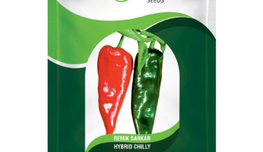 Hot Peper (Chilly) Remik Sarkar - 10gm
