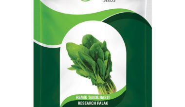Palak Remik Tandurasti - 500gm