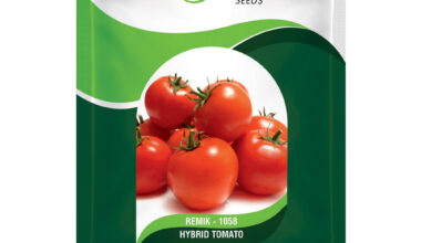 Tomato Remik 1058 - 0.5gm