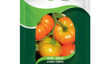 Tomato Remik Khatta - 10gm