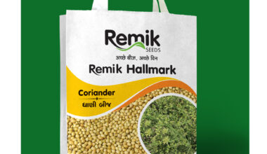 Coriander Remik Hall Mark (Dhani Seeds) - 3kg