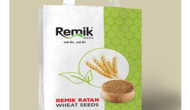 Wheat Remik Ratan
