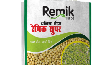 Coriander Remik Super - 5kg
