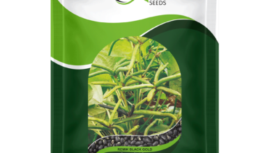 Black Gram Black-Gold - 1kg