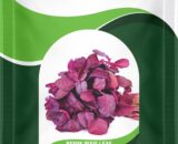 Research Amaranthus Remik Pixie Leaf