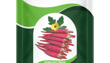 Okra Remik Red Finger (5 GM)