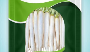 Radish Remik white sky - 250 gm (HYBRID )