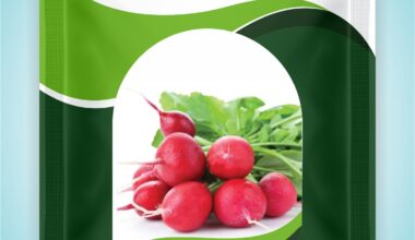 Research Radish - Remik Clever Cut - 5 gm