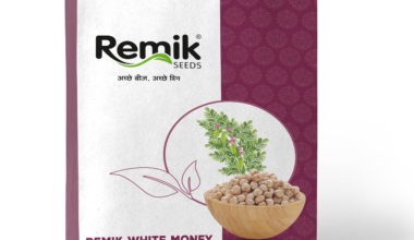 Gram seeds Remik White money - 10kg